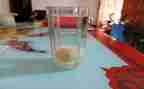 幼儿园科学《沉浮》教案6篇