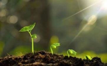 我在成长心得体会精选5篇
