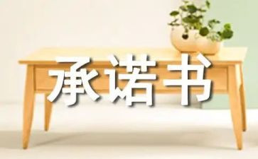 安全承诺书模板5篇