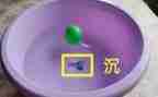 水果宝宝的沉与浮教案7篇