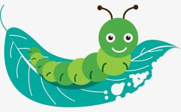 帮瓢虫找家小班数学教案6篇