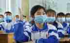 初2学生自我总结模板5篇