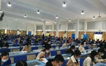 初级职称评定述职报告7篇