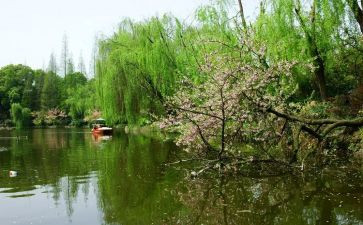 春节作文600字5篇