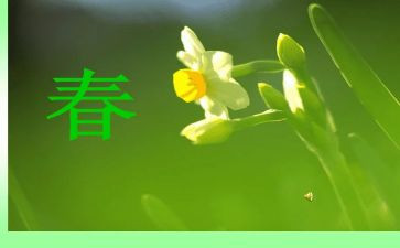 让青春飞扬作文推荐7篇