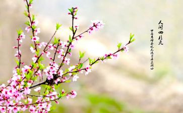 教师春游活动方案8篇
