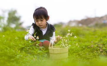 把纯真留住作文6篇