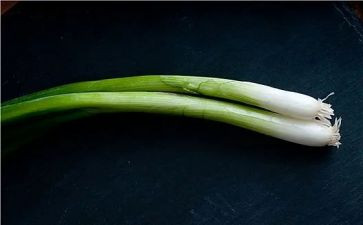 中班科学葱和蒜教案7篇