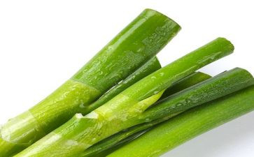 大班科学葱和蒜教案参考6篇