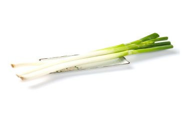 大班科学葱和蒜教案优秀6篇