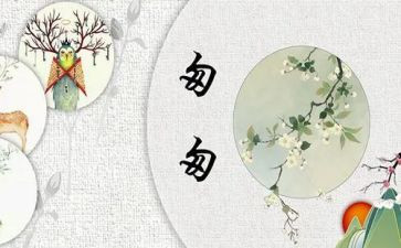 匆匆作文800字8篇