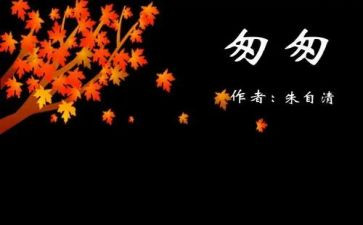 读了匆匆的读后感100字8篇