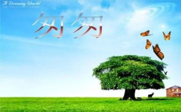 匆匆作文的范文5篇