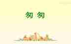 匆匆心得体会优秀5篇