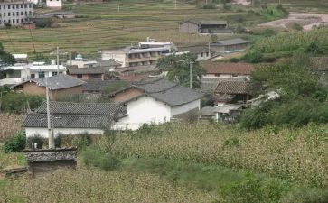 优秀村官述职报告7篇