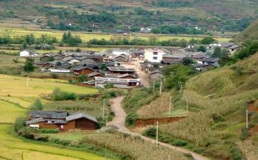 村主任述职报告2024年最新范文6篇