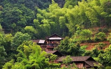 村领导发言稿范文优秀8篇