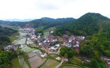 村上半年述职报告优秀7篇