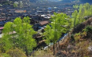大学生村官的述职报告优质5篇