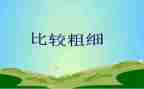 中班教案比较粗细教案8篇