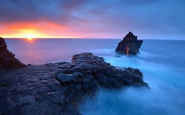 描写大海和鱼的作文参考8篇