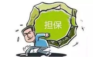 1贷款担保申请书8篇