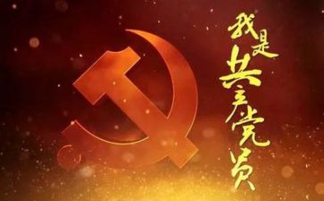 年党员教师工作总结5篇