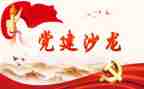 本学期党建工作总结6篇