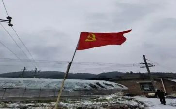 留党员转正申请书7篇