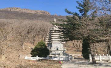 文化苦旅道士塔读后感7篇