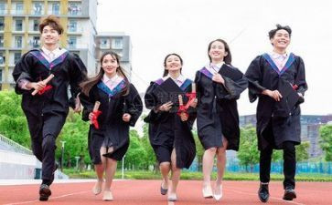 大学干部的心得体会精选7篇