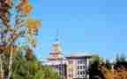 大学军训心得体会精选范文8篇