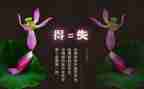 得与失心得体会1000字最新5篇