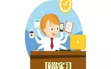 顶岗实习新心得体会精选8篇