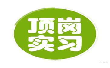 大学生顶岗实习总结7篇
