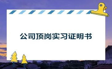 大学生顶岗实习总结优秀6篇