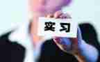 顶岗学生个人总结8篇