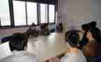 学生顶岗实习月总结优质7篇