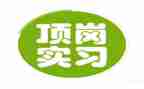 学生顶岗实习自我总结8篇