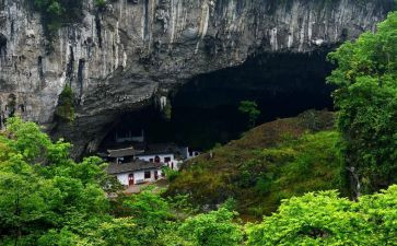 《洞》读后感300字优质7篇