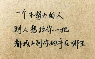 那一次我懂了作文600字7篇