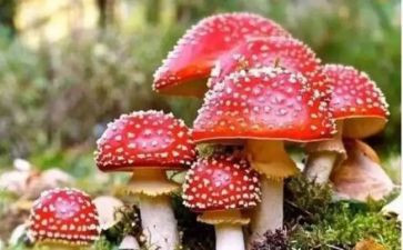 禁毒办教育心得体会5篇