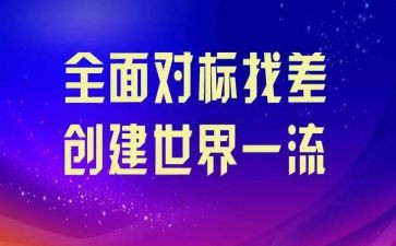 小学对标总结报告8篇