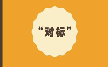 个人对标先进心得体会8篇