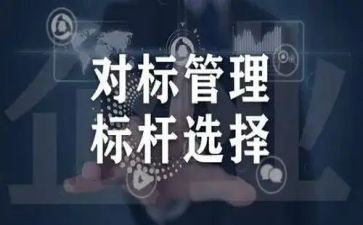 小学对标总结报告精选5篇