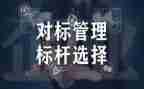 小学对标总结报告精选5篇