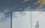 谈教师读书心得体会8篇