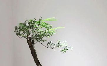 我独自睡觉作文400字8篇