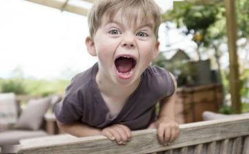 《儿子》读后感6篇