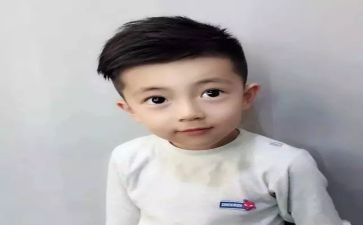 《儿子》读后感最新8篇